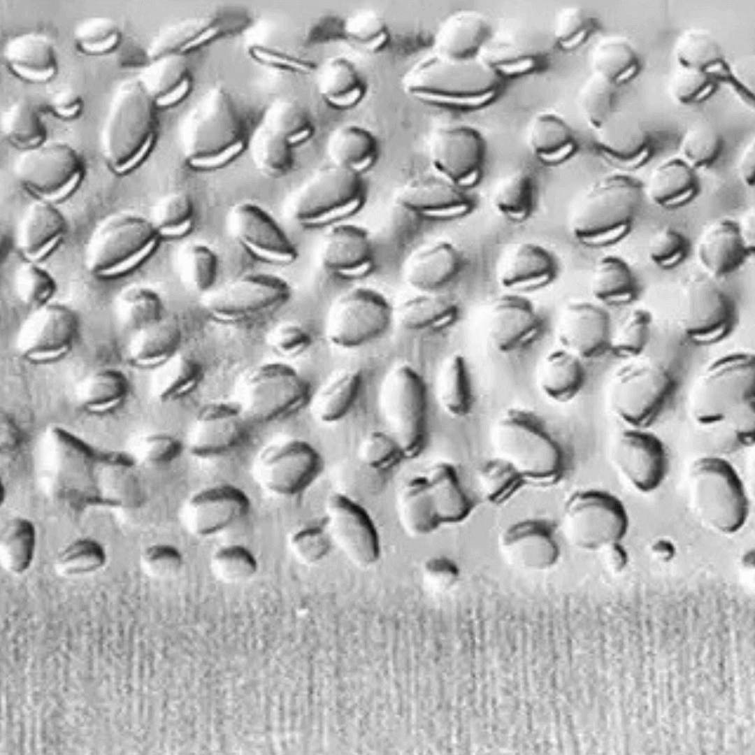 Acier 440c haute teneur en carbone